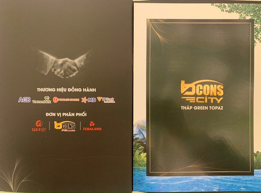 Các đối tác chiến lược của dụ án Bcons City