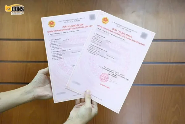 so-do-bcons-polygon-thumbnail